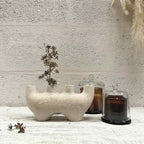 Vāze Sausiem Ziediem