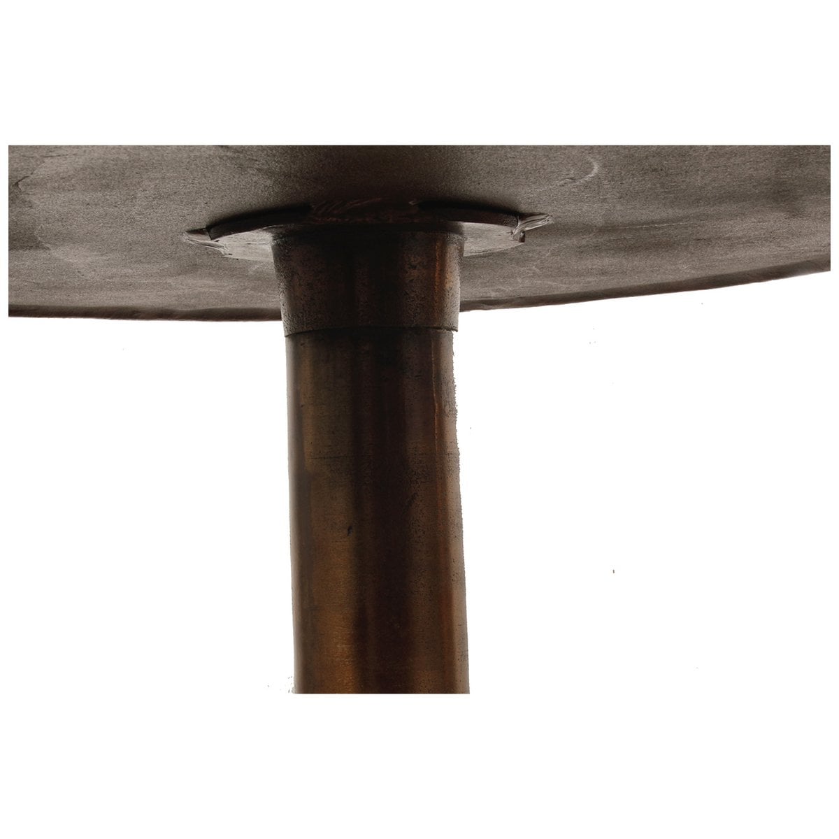 Ēdamgalds Sycomore L