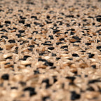 Paklājs Elliot Carbone 290X190